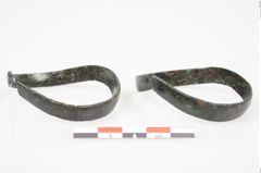 Foto von Bronzeschaukelfußreif (NHMW-PRAE-026220)